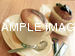 Cafe and Coffee Shop