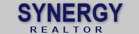 Synergy Realtor