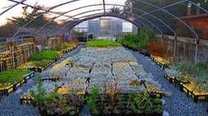 Lawn Equipment Sales And Service