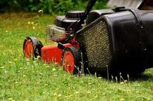 Profitable Lawn Landscaping Business